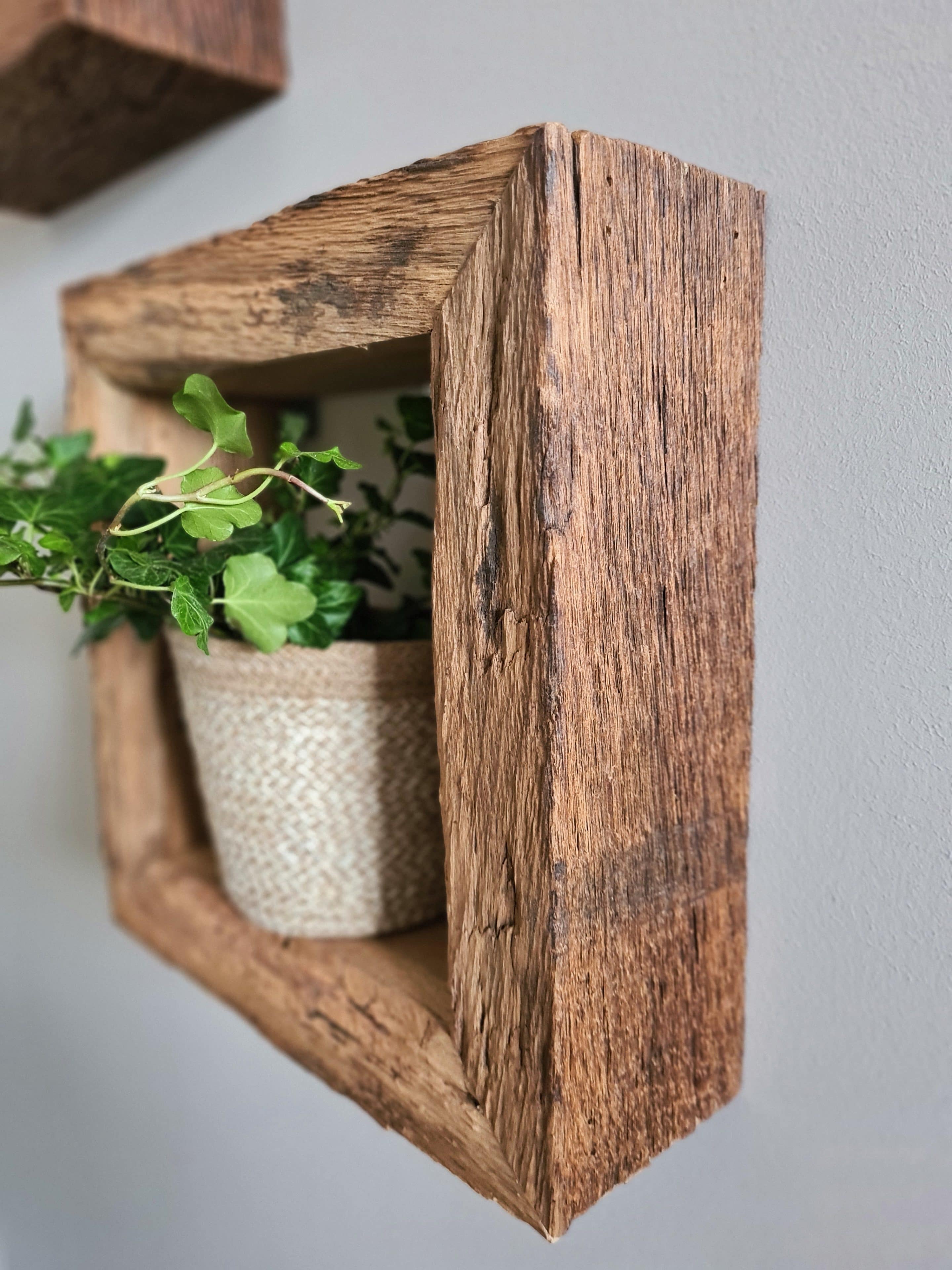 kubus eiken | woodchoice